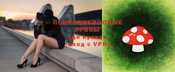 мдпв Верея