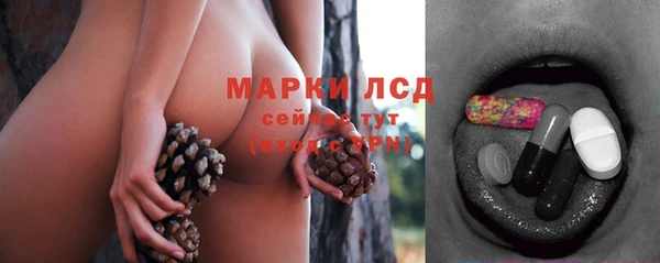 мдпв Верхний Тагил