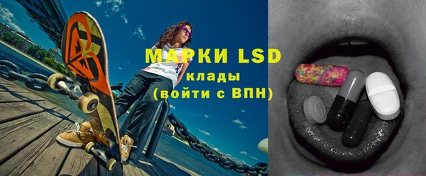 мдпв Верея