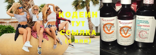мдпв Верея