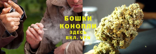 мдпв Верея