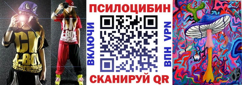 Купить  Юрга  Псилоцибиновые грибы Psilocybe 